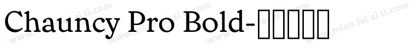 Chauncy Pro Bold字体转换